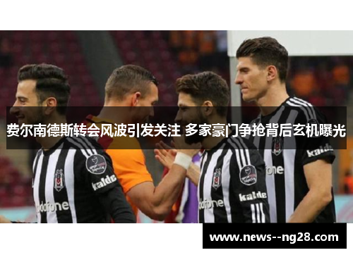 费尔南德斯转会风波引发关注 多家豪门争抢背后玄机曝光